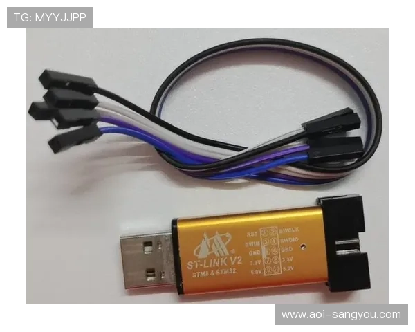 亚星登录网管软件下载安装教程，轻松搭建企业网络管理平台