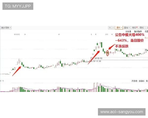 亚星控股集团旗下主要业务板块全面介绍与发展现状分析