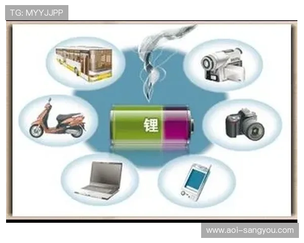 亚星线缆股份有限公司在网络游戏行业中的应用与发展前景分析